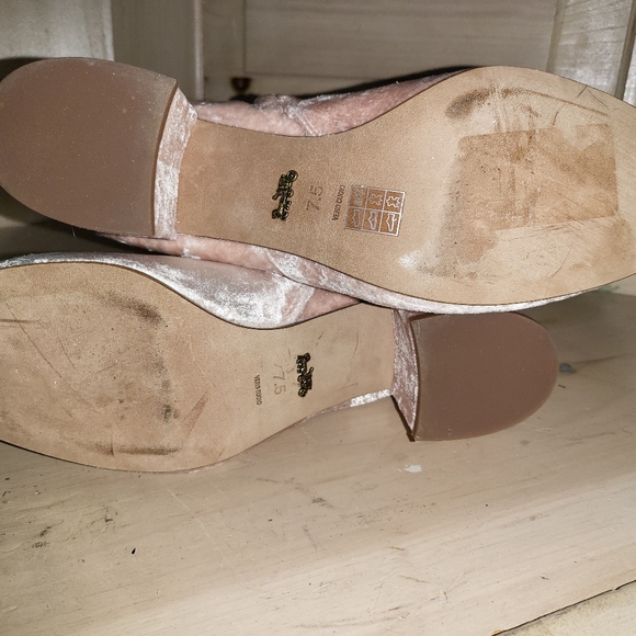 Coach Juliet Ankle Bootie - Picture 3 of 10